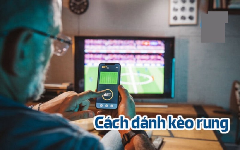 Chia sẻ cách chơi kèo Running Ball hiệu quả từ kinh nghiệm của cao thủ